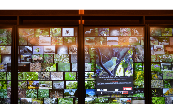 Digital information wall