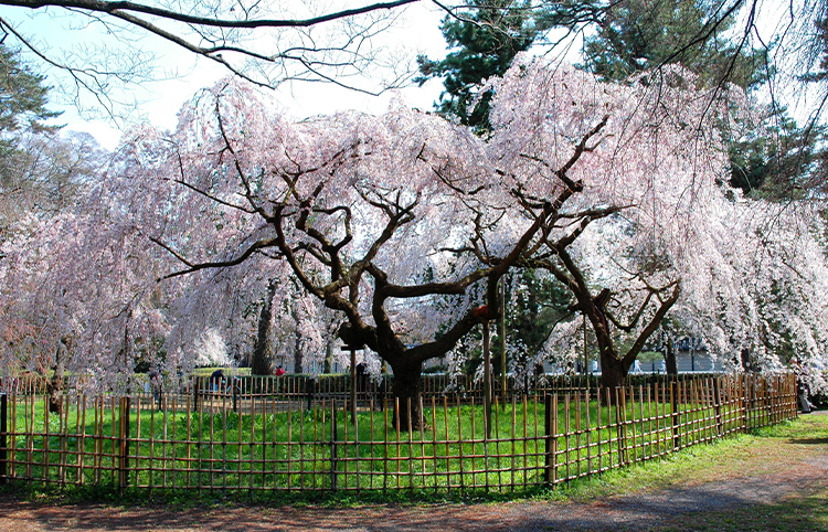 Site of the Konoe Residence