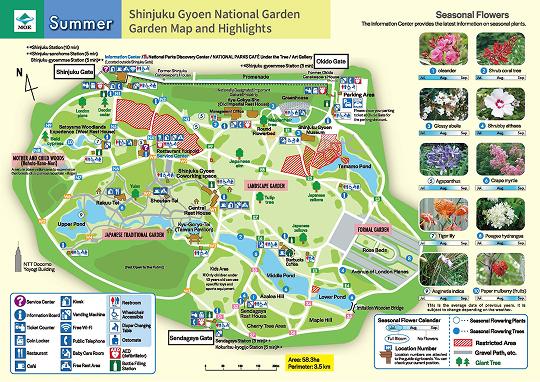 This is a map of what to see in the park in summer. In addition to seasonal attractions, this map shows the location of various facilities such as stores, restaurants, and restrooms in the Shinjuku Gyoen Garden. The Information Center is located outside the Shinjuku Gate. There are also several rest areas in the park.