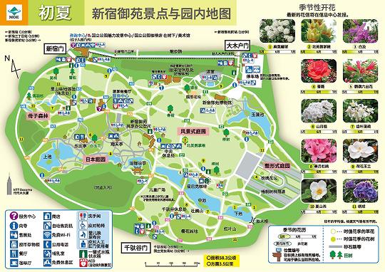 This is a map of what to see in the park in early summer. In addition to seasonal attractions, this map shows the location of various facilities such as stores, restaurants, and restrooms in the Shinjuku Gyoen Garden. The Information Center is located outside the Shinjuku Gate. There are also several rest areas in the park.