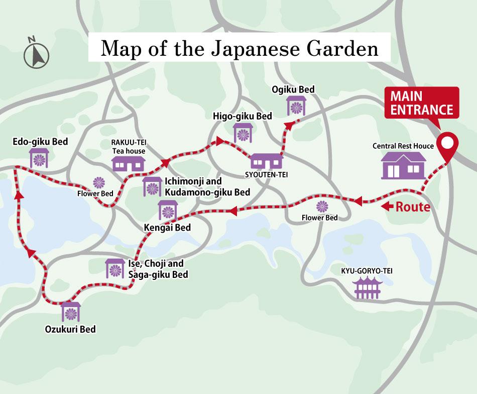 Map of the Chrysanthemum Exhibition layout and route. Starting from the entrance near the Central Resthouse, it introduces a course following the path through various displays, including the Kengai-zukuri (Cascade-style), Ozukuri (Large-style), Edo-zukuri, and Higo-zukuri Chrysanthemum Beds.