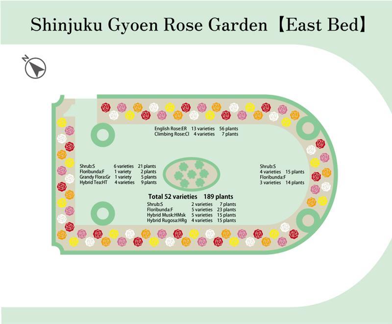 Layout map of the East Rose Garden. It shows the planting of 52 varieties of roses in total, including English Roses (13 varieties) and Shrub Roses (12 varieties).