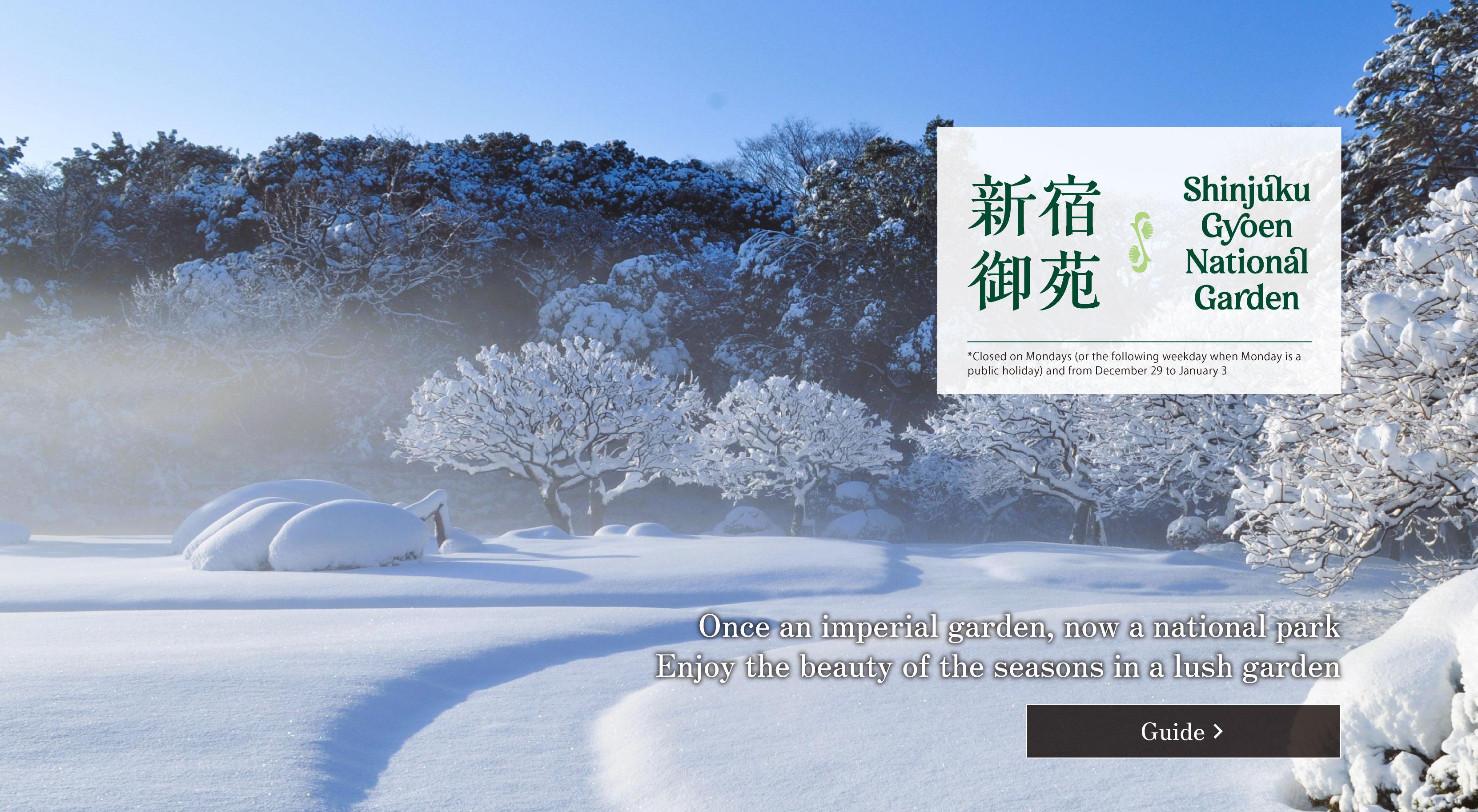 Winter at Shinjuku Gyoen National Garden. Closed Mondays (or the next following weekday if Monday is a holiday) and New Year holidays. Click for the Visitor Guide.