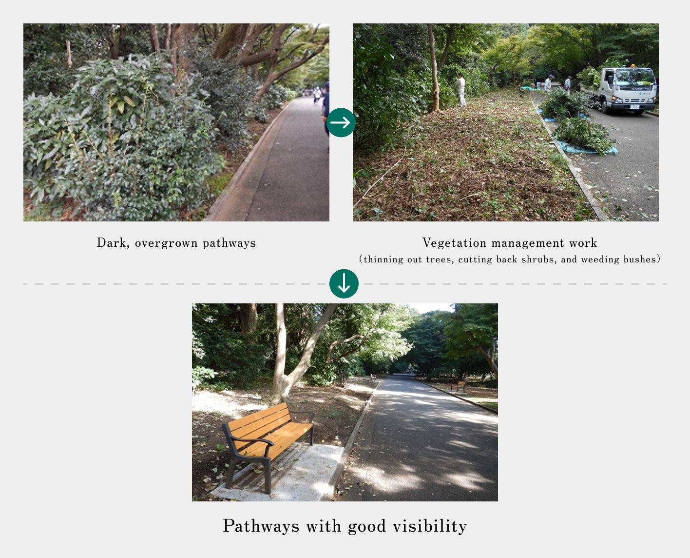 Introduction to path maintenance for better visibility. Shows thinning and weeding of overgrown, dark forested paths. Periodic vegetation management is performed to keep the pathways bright and safe with clear visibility.