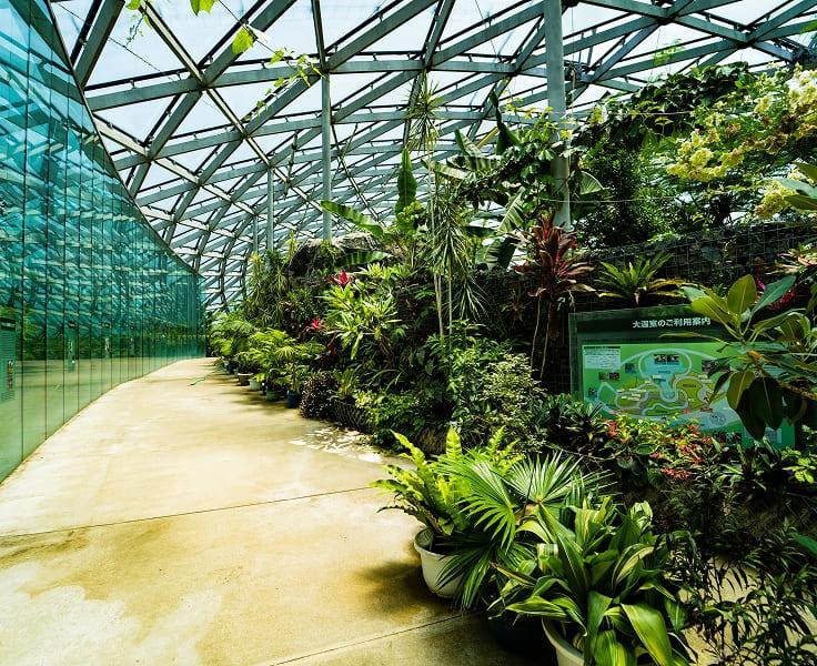[写真]温室の入口から順路を見渡した様子。これからどんな植物に出会えるのか、期待が膨らみます。