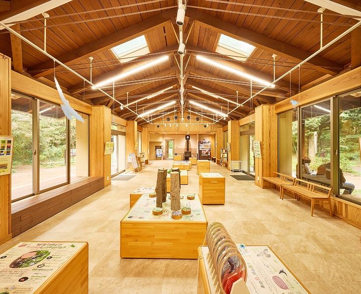 [写真]森の家の内観。館内には、森の家に関する資料が展示されています。