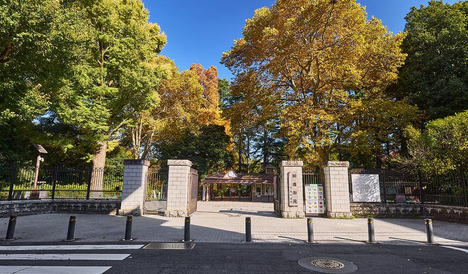 [写真]千駄ヶ谷門