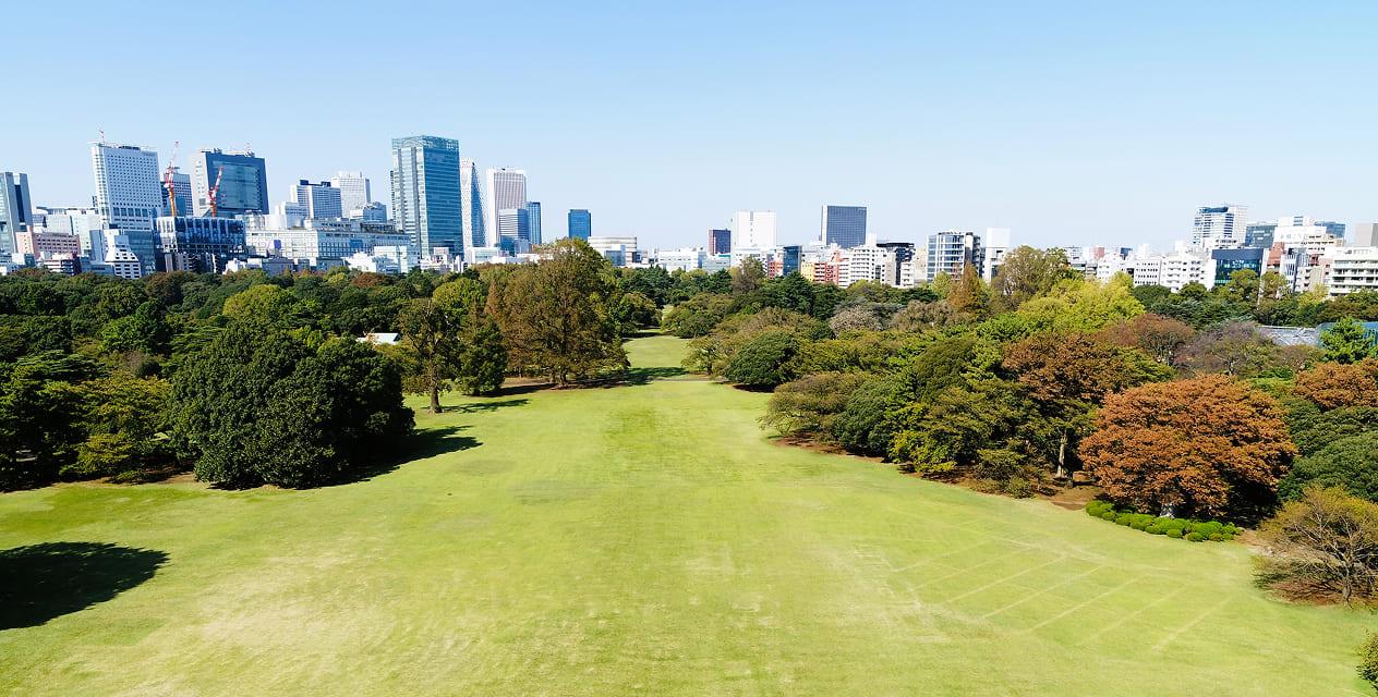写真]新宿御苑をドローンにて空撮した写真です。広々とした庭園の先には新宿の高層ビル群が見えます。