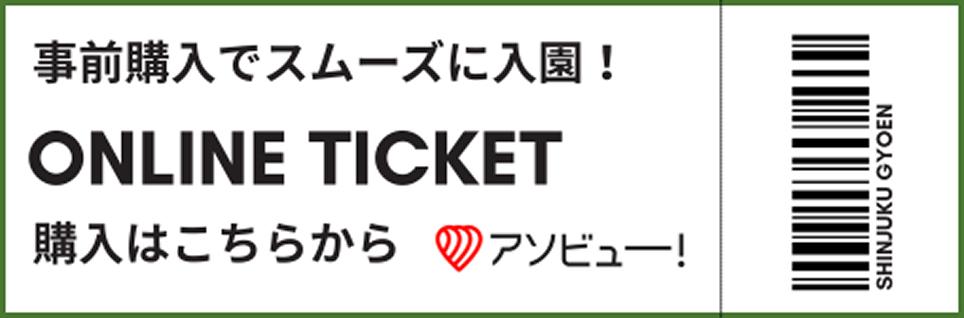 アソビューのバナー画像