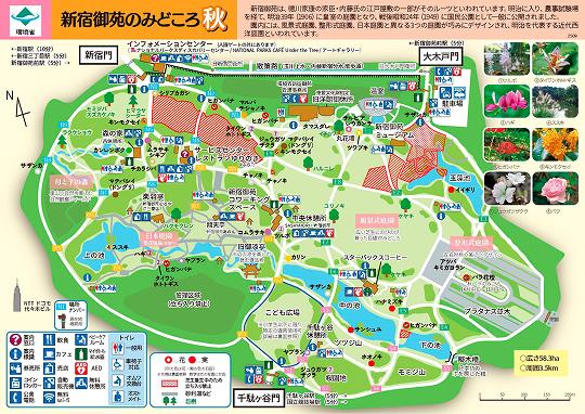 秋の園内の見どころマップです。季節の見どころに加え、新宿御苑の敷地内にある、売店やレストラン、トイレなど様々な施設の場所をご案内しています。インフォメーションセンターは新宿門外側にございます。また園内には数箇所休憩所もございます。