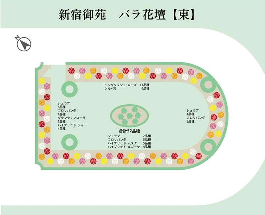 東花壇の配置マップ。イングリッシュ・ローズ（13品種）やシュラブ（12品種）など、合計52品種のバラが植栽されています。