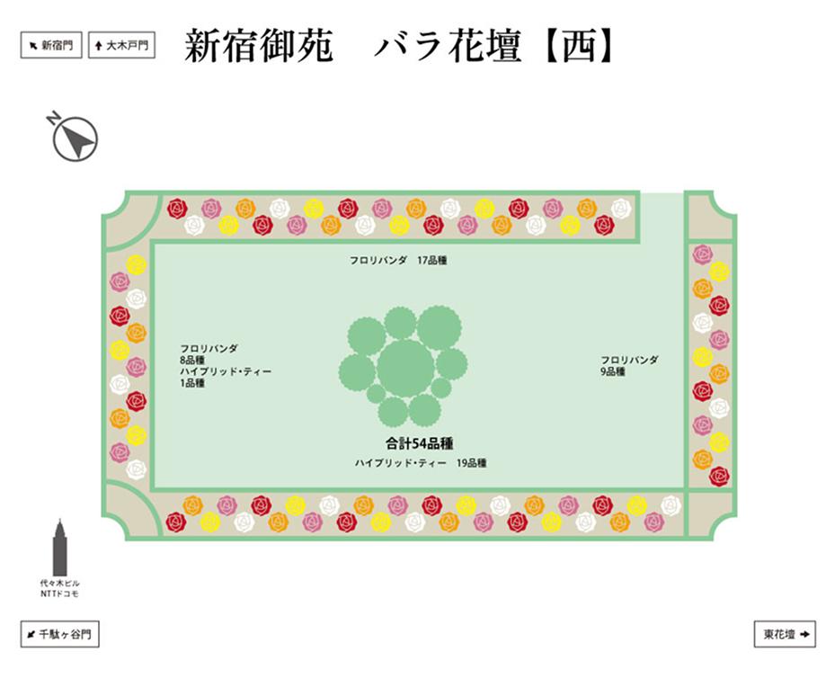 西花壇の配置マップ。フロリバンダ（計34品種）やハイブリッド・ティー（19品種）など、合計54品種のバラが植栽されています。