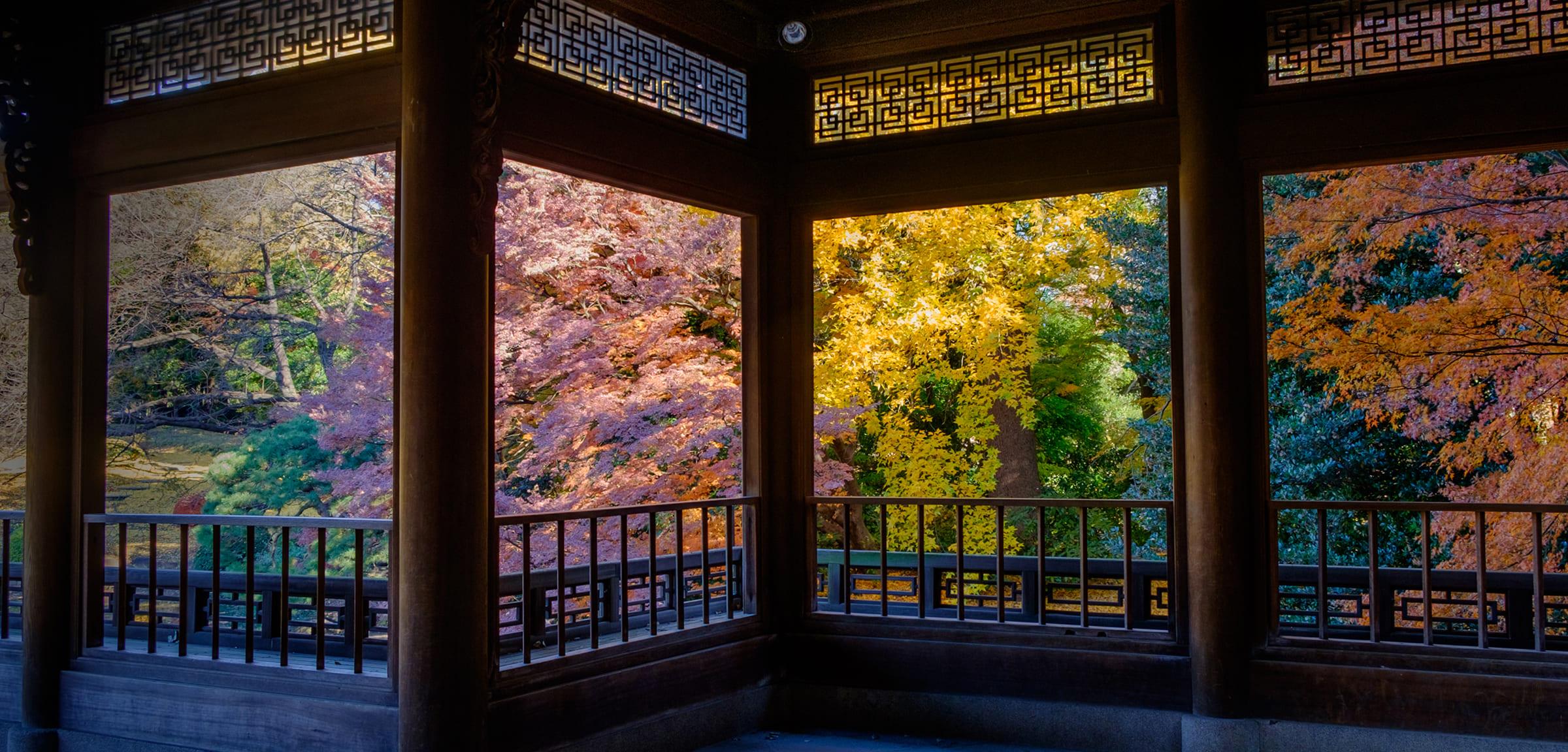 [写真]日本庭園にある旧御凉亭から見える紅葉の景色。