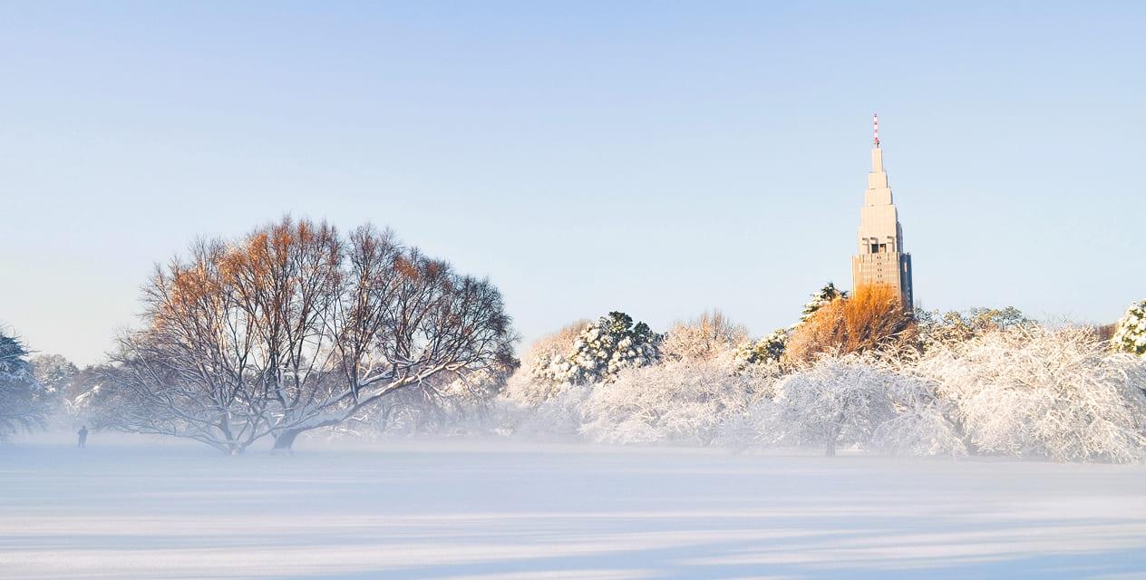 [写真]冬の風景式庭園には霧が立ち込め、雪を纏った樹木が静かに並んでいます。その背景には、朝日に照らされたNTTドコモ代々木ビルが、まるで絵画のようにそびえ立っています。