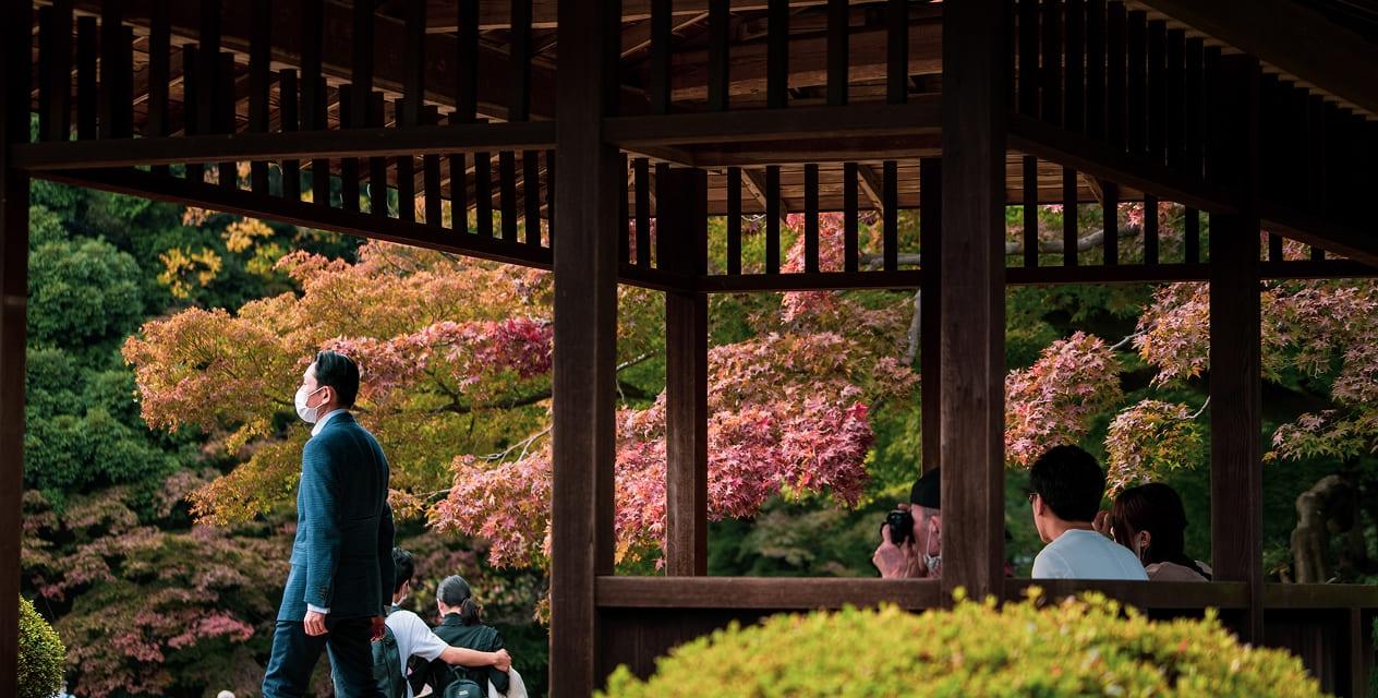 [写真]秋の日本庭園では、赤、オレンジ、そしてピンクに色づいたモミジやカエデが美しく、訪れる人々は写真を撮ったり、足を止めて休憩したりと、思い思いに紅葉を楽しんでいます。