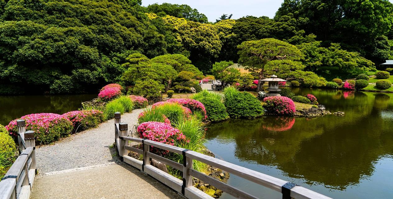 [写真]夏の日本庭園。池に架かる橋の両脇にはピンクのツツジが満開に咲き誇り、鮮やかな緑の植栽と美しい対比を見せています。池の中央に佇む石灯籠の背景には、深い緑の森がどこまでも広がっています。