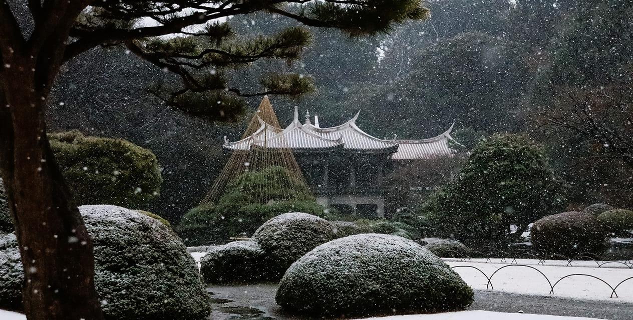 [写真]冬の日本庭園では、ツツジの植栽も雪を纏い、その向こうには旧御凉亭が静かに佇んでいます。降りしきる雪が庭園を白く染め上げ、辺りは深い静寂に包まれています。