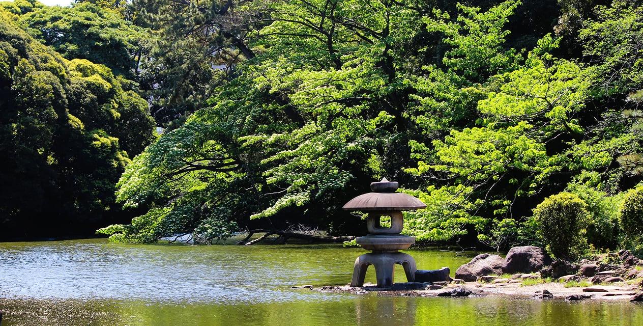 [写真]夏の玉藻池。池のほとりに立つ石灯籠の背後には、深い緑を湛えた森がどこまでも広がっています。