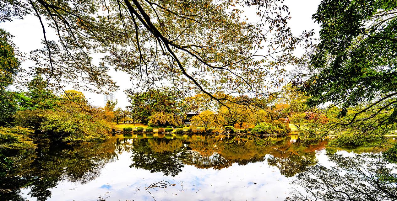  [写真]旧御凉亭から見える日本庭園の様子。