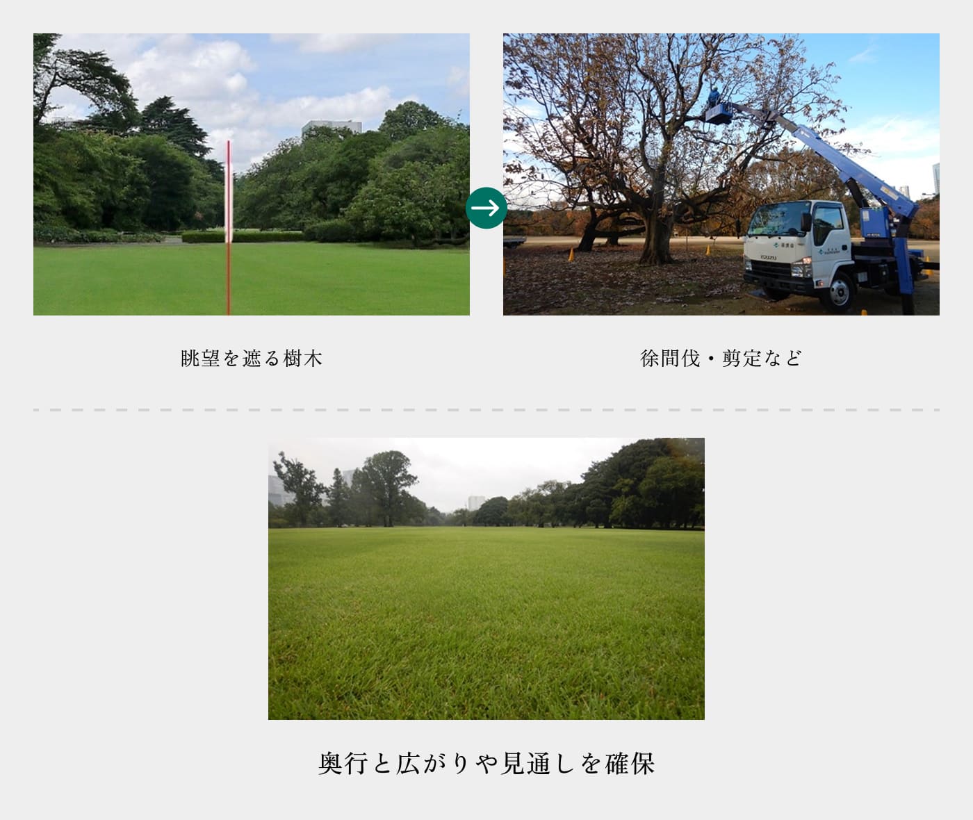 景観改善のために行っている作業の紹介。眺望を遮る樹木を徐間伐、剪定する様子が映っています。このような作業を定期的に行うことで、奥行と広がり、見通しを確保しています。