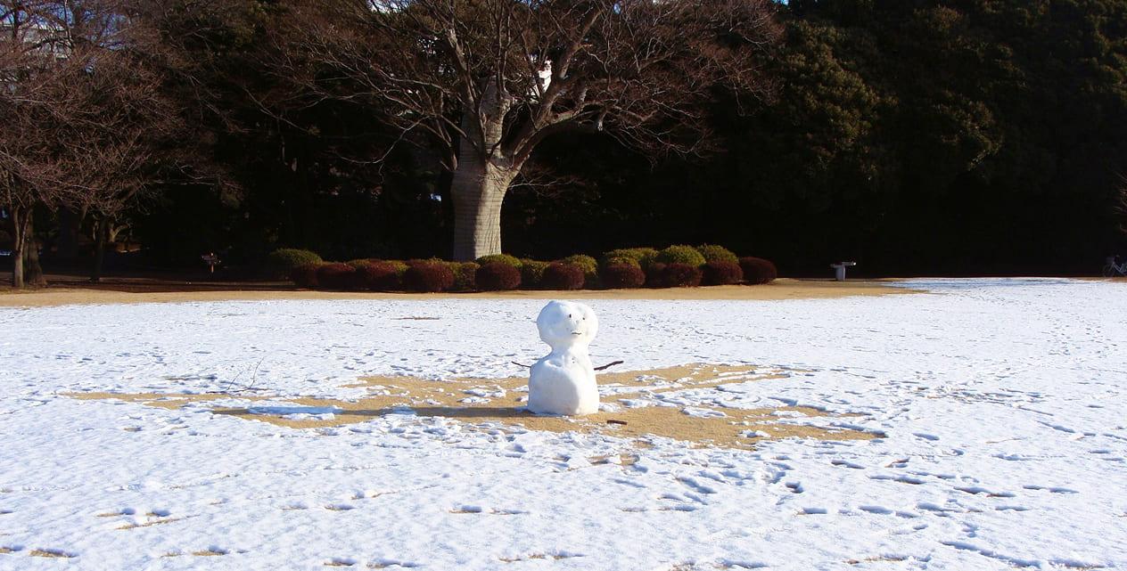 [Photo]It's time for a snowy scene at Shinjuku Gyoen.