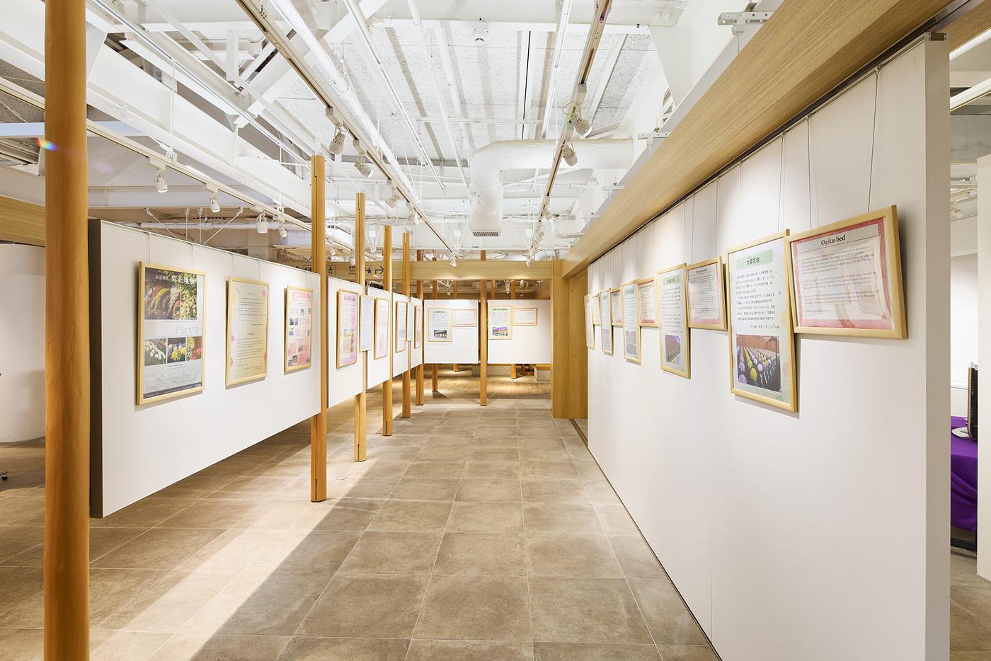 [写真]アートギャラリーの展示風景。