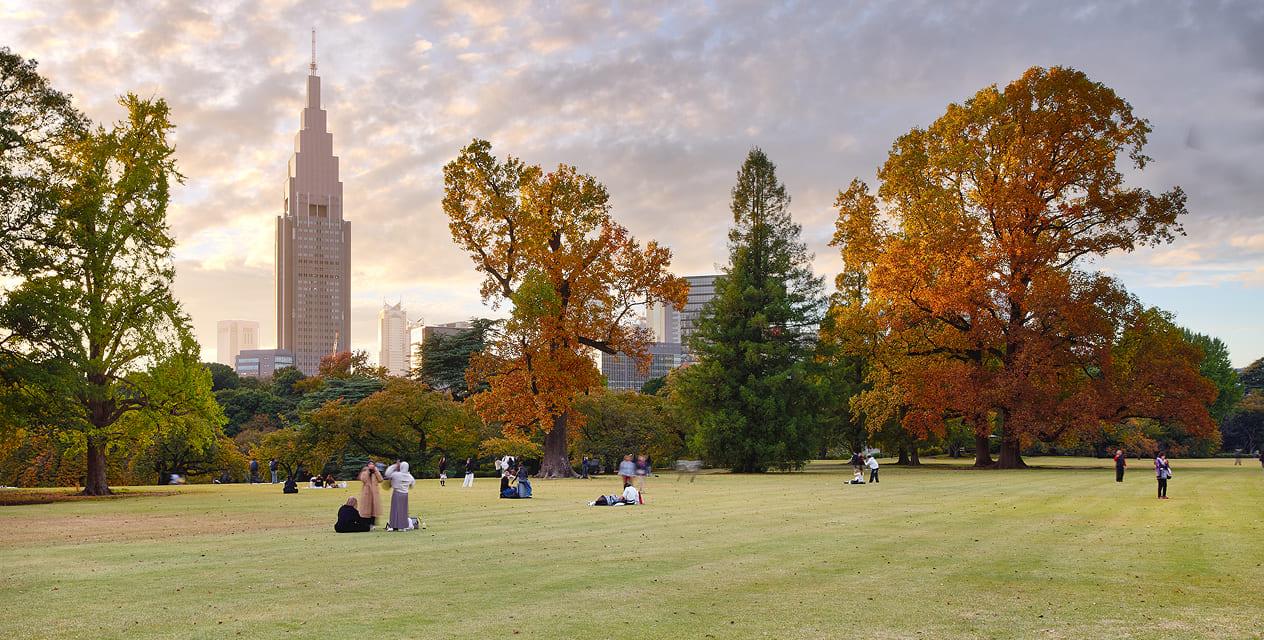 [写真]風景式庭園の芝生で、のんびりと過ごす人々の様子。