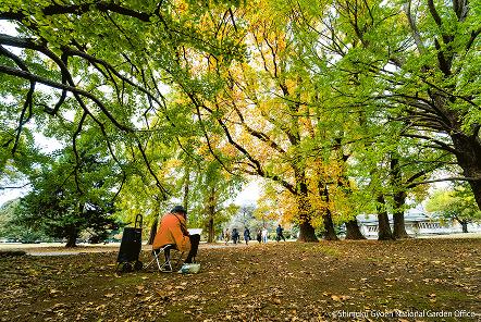 [写真 1] 秋色に染まる新宿御苑。黄金色のイチョウ並木や、庭園を彩る鮮やかな紅葉（クリックで拡大）