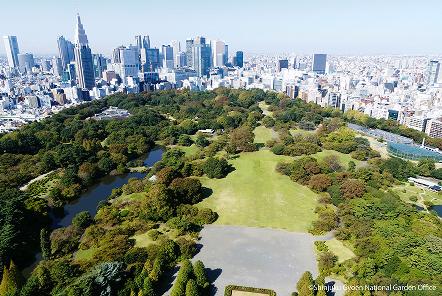 [写真 1] 新宿御苑の庭園風景。都会のビル群を背景に広がる、豊かな自然の庭園美（クリックで拡大）