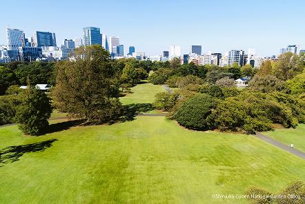 [写真 3] 新宿御苑の庭園風景。（クリックで拡大）