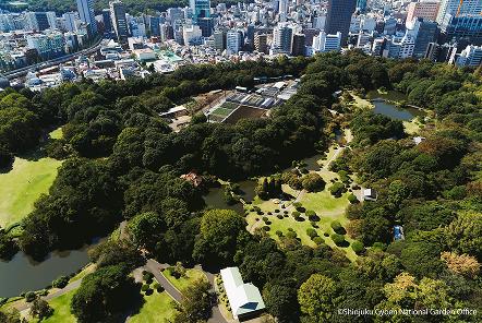 [写真 4] 新宿御苑の庭園風景。（クリックで拡大）