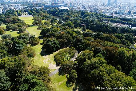 [写真 5] 新宿御苑の庭園風景。（クリックで拡大）
