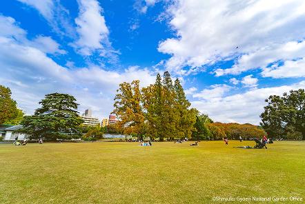 [写真 7] 新宿御苑の庭園風景。（クリックで拡大）