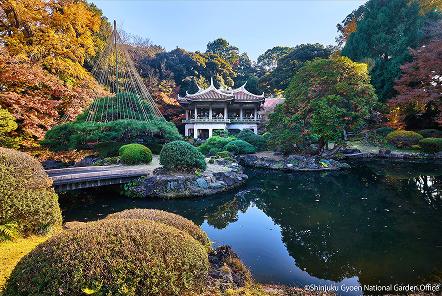 [写真 10] 新宿御苑の庭園風景。（クリックで拡大）