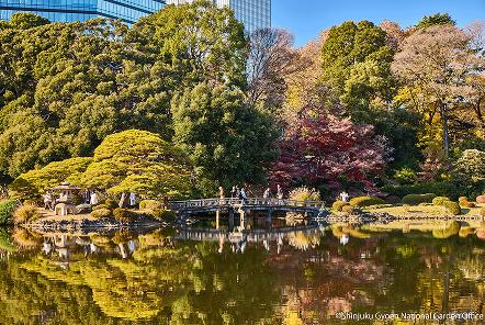 [写真 11] 新宿御苑の庭園風景。（クリックで拡大）