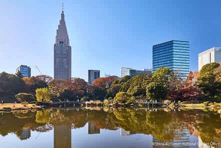 [写真 12] 新宿御苑の庭園風景。（クリックで拡大）