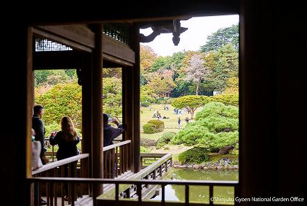 [写真 14] 新宿御苑の庭園風景。（クリックで拡大）