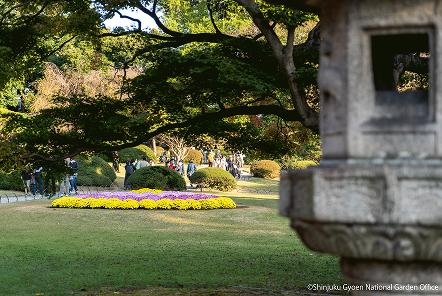 [写真 15] 新宿御苑の庭園風景。（クリックで拡大）