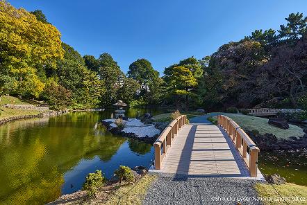 [写真 16] 新宿御苑の庭園風景。（クリックで拡大）