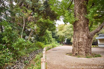 [写真 22] 新宿御苑の庭園風景。（クリックで拡大）