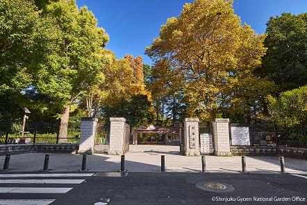 [写真 24] 新宿御苑の庭園風景。（クリックで拡大）