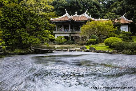 [写真 19]園内の主要施設。（クリックで拡大）