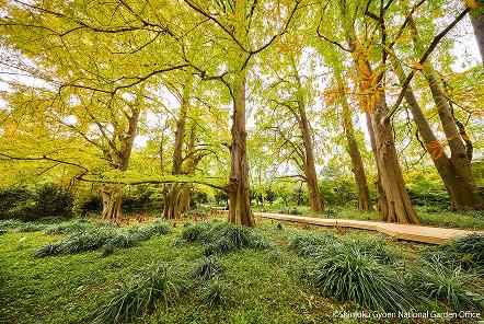 [写真 10]新宿御苑を彩る四季折々の植物。（クリックで拡大）
