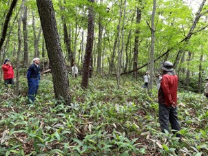 写真：北海道池田町大森地区町有林で作業する人々