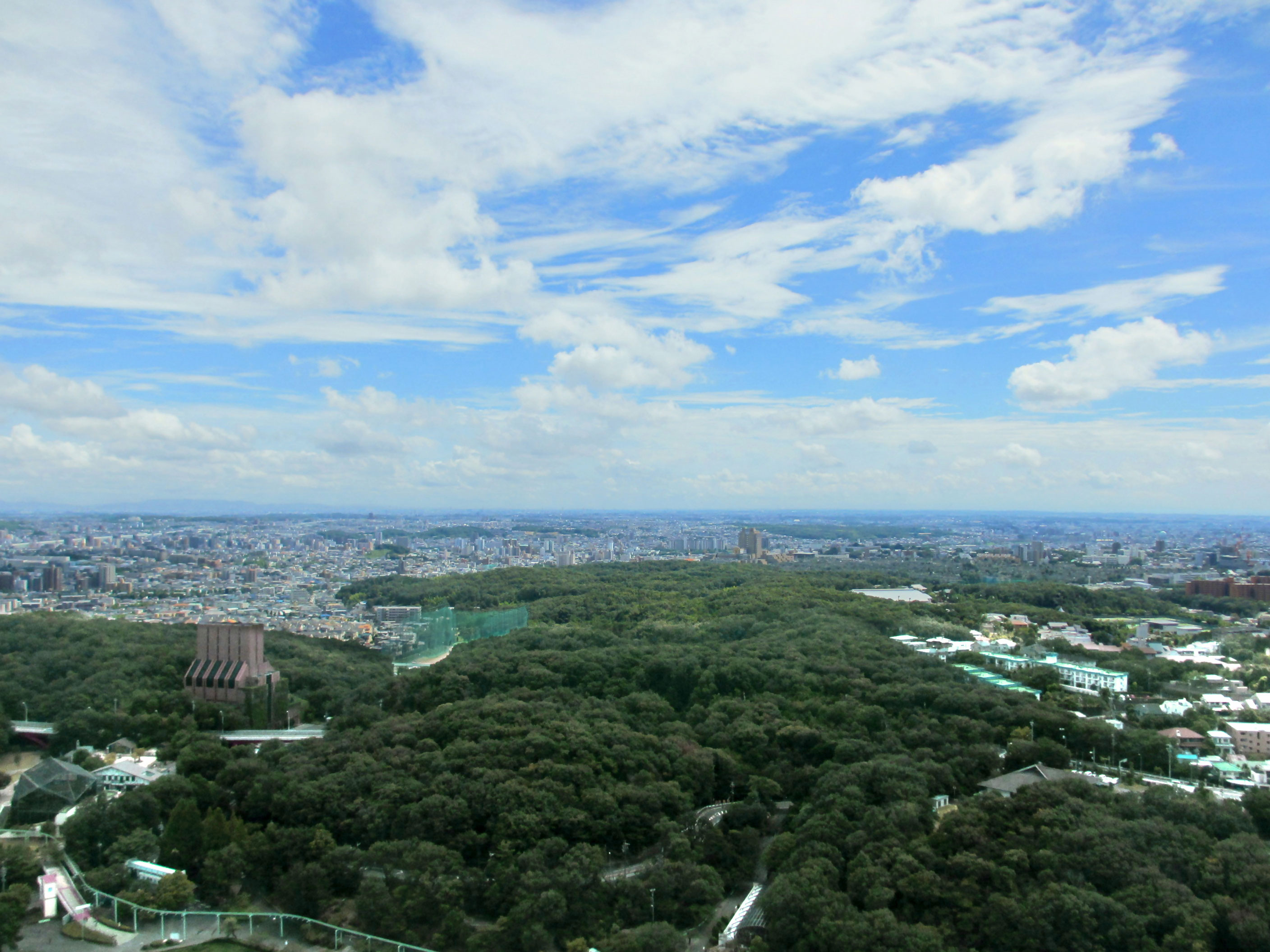 写真：なごや東山の森の風景