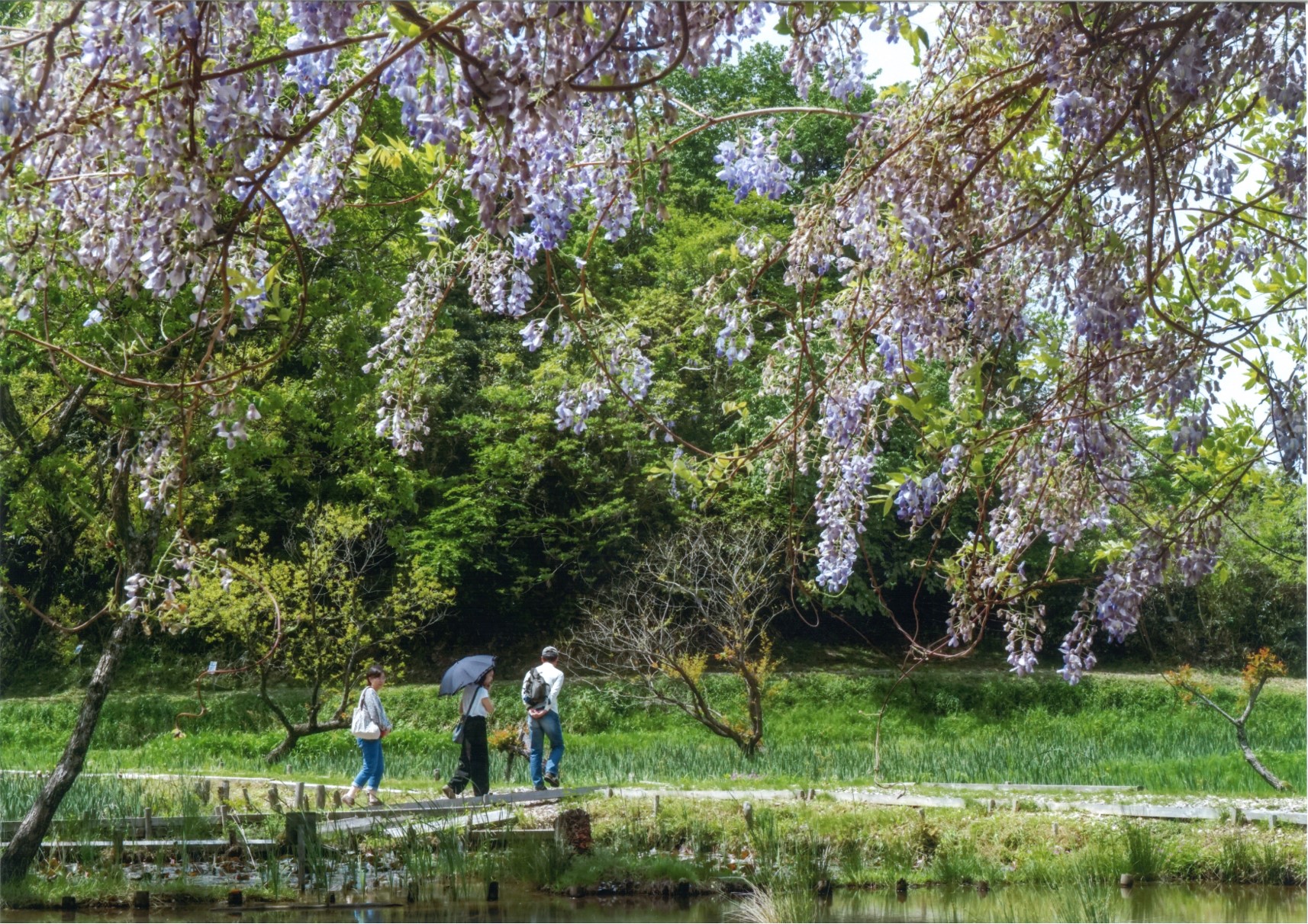 写真：亀山里山公園の写真