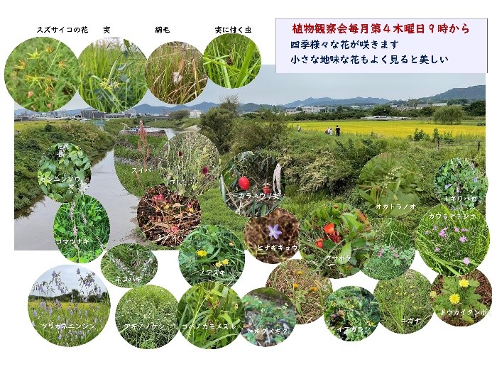 写真：新郷瀬川半自然草地