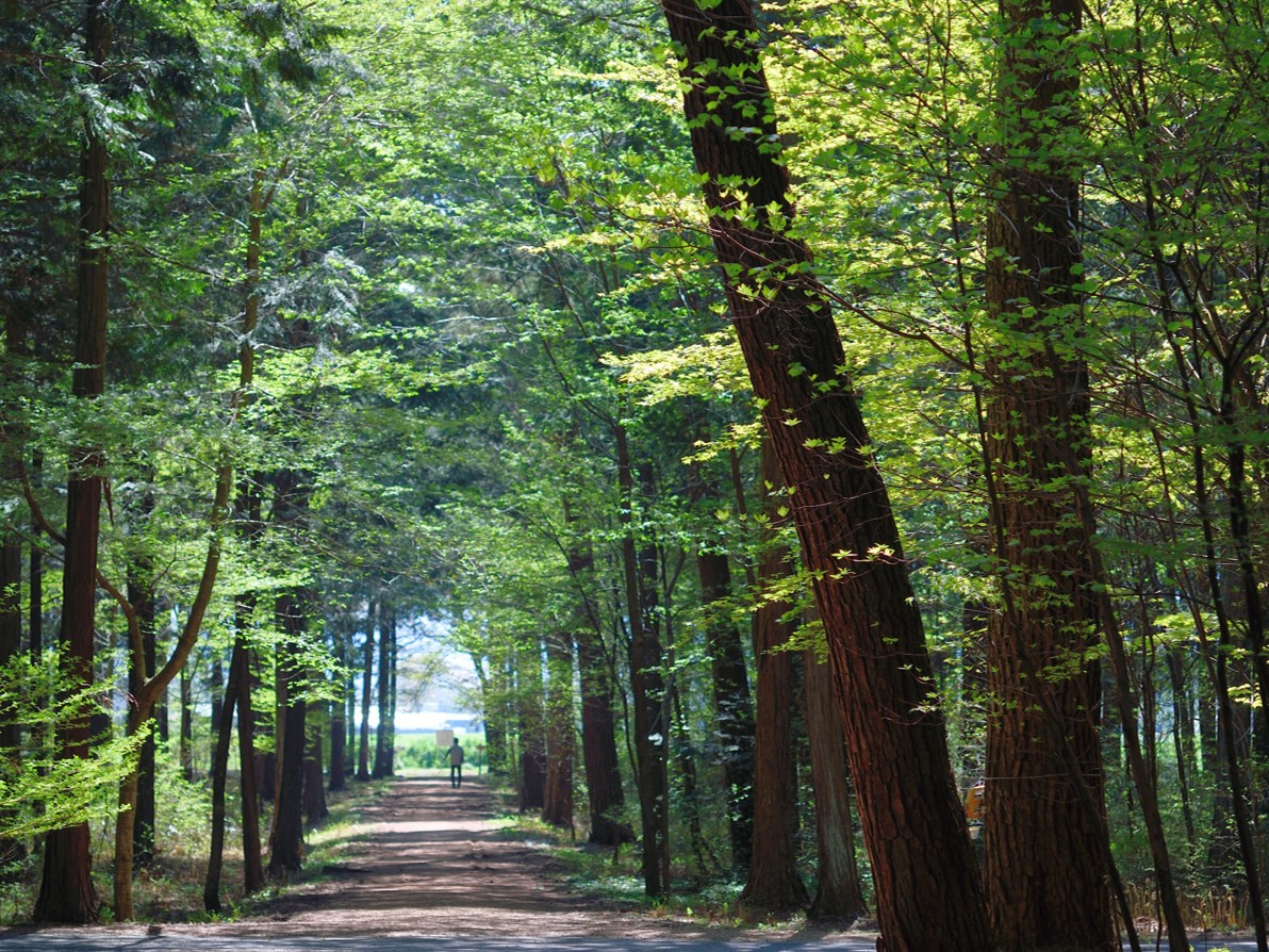 国営アルプスあづみの公園里山文化ゾーンの写真