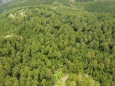 写真：ナカエの森の写真