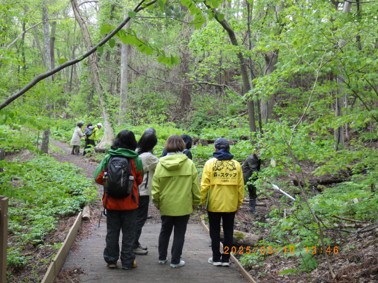 円山動物園の森の写真